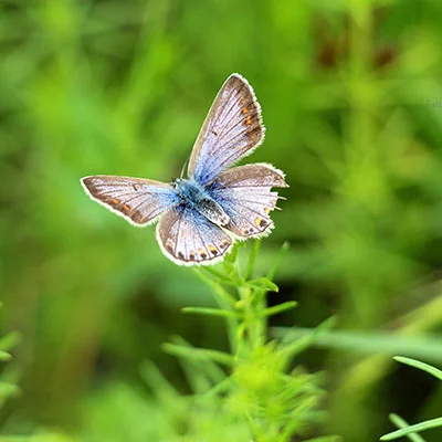 购买VPN - 3月30日18.6M/S|免费Clash节点/SSR节点/Singbox节点/V2ray节点/Trojan节点/Shadowrocket节点节点推荐，V2rayC梯子购买推荐