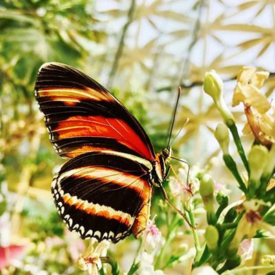 购买VPN - 2月6日21.9M/S|免费Shadowrocket节点/Trojan节点/Singbox节点/Clash节点/SSR节点/V2ray节点节点推荐，V2rayC梯子购买推荐